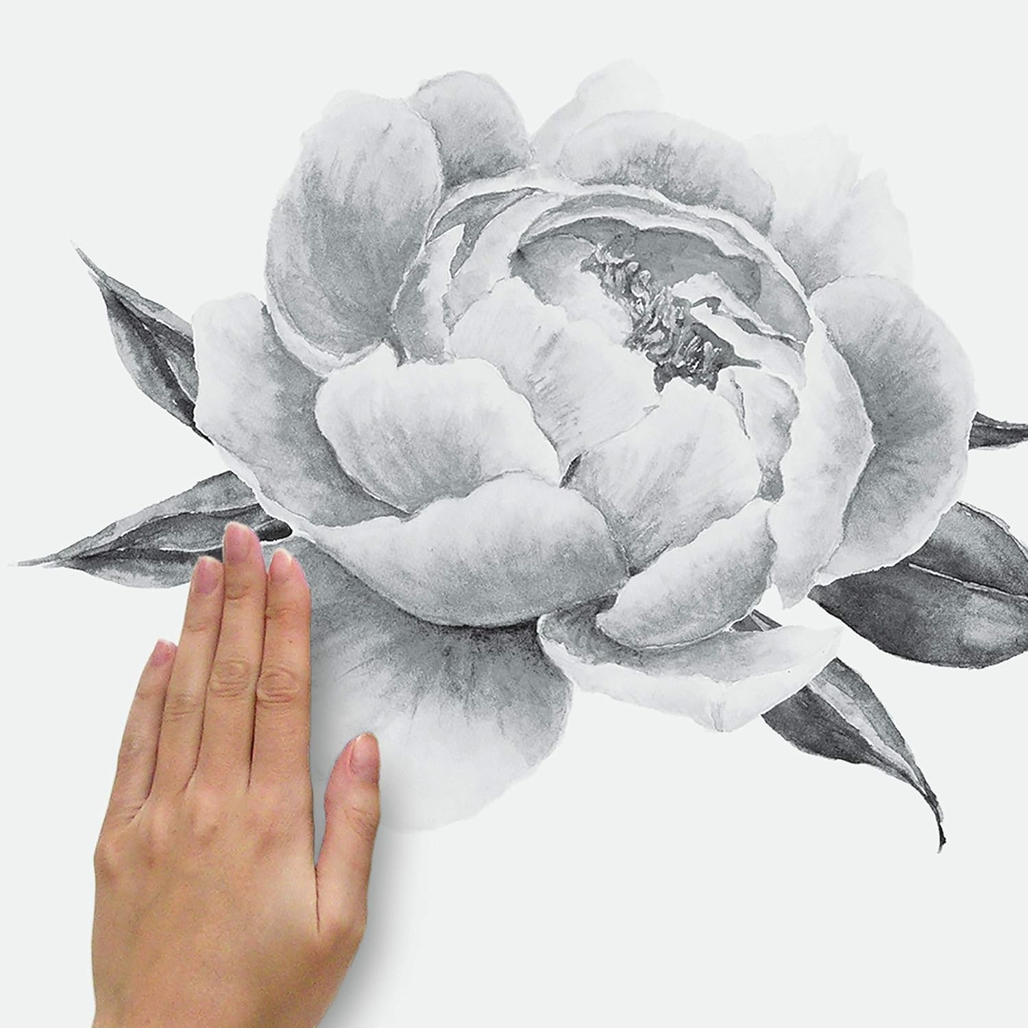 RoomMates RMK4413GM Black and White Peonies Giant Floral Peel and Stick Wall Decals - Image 3