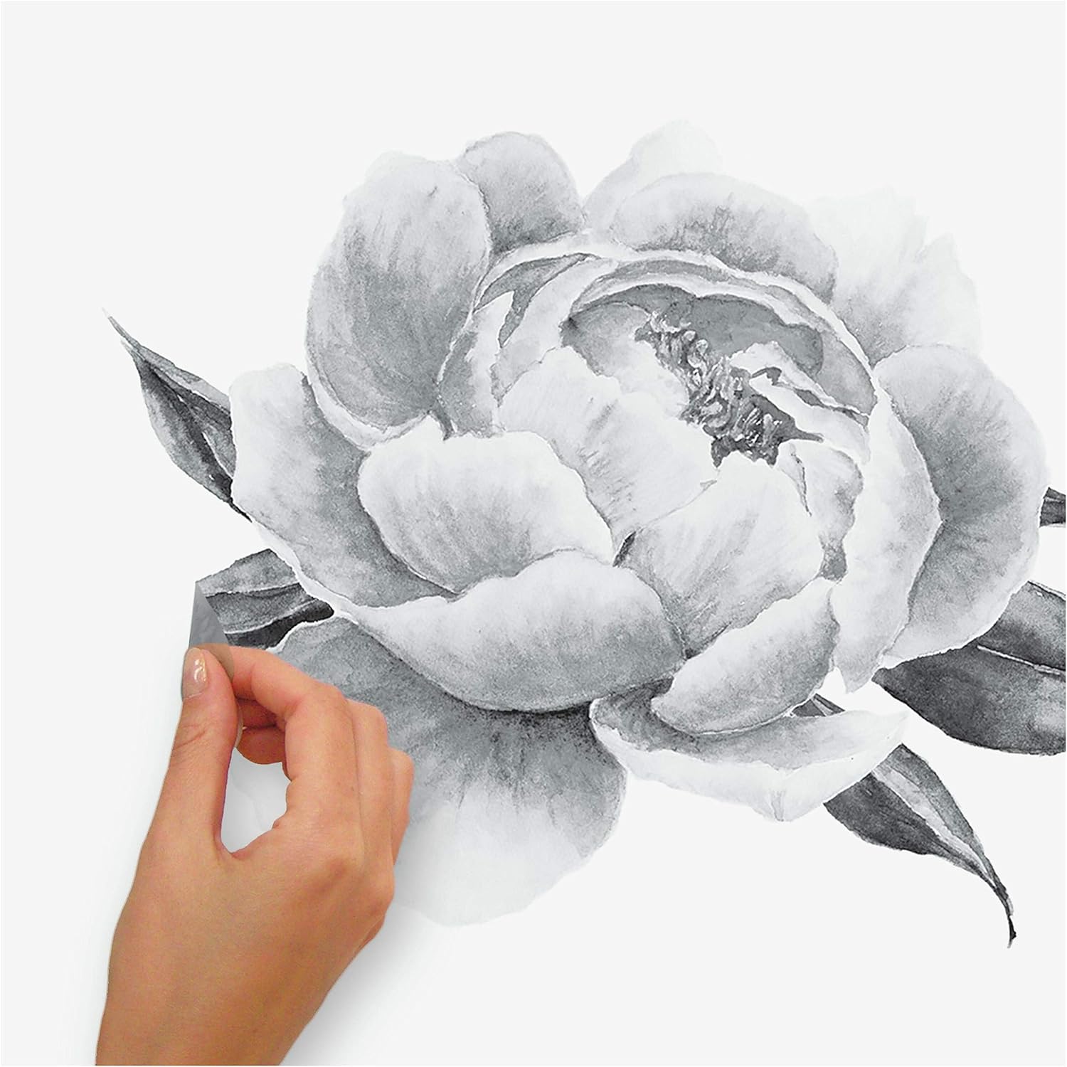 RoomMates RMK4413GM Black and White Peonies Giant Floral Peel and Stick Wall Decals - Image 4